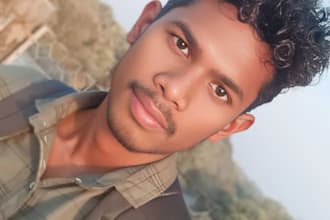 do accurate english to hindi translation and article writing