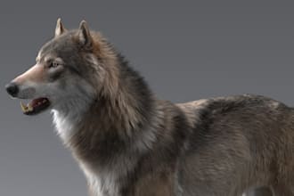3d anima l animation, animal model and 3d animal rigging, zbrush