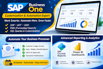 customize sap business one, automate reports, alerts and fms