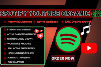 increase your music listener organic beatport spotify youtube campaign promotio