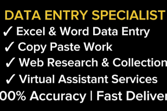 do professional data entry, excel and copy paste work