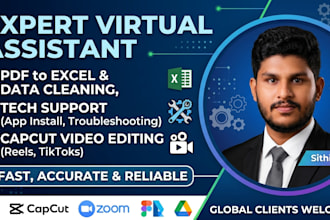 provide data entry, PDF to excel conversion, data cleaning, and tech support