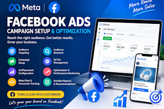 setup, manage and optimize facebook ads for sales and leads