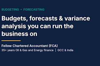 work on financial planning and analysis, accounting