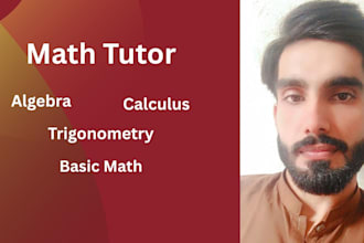 be online tutor of trigonometry, calculus, algebra of high school and college