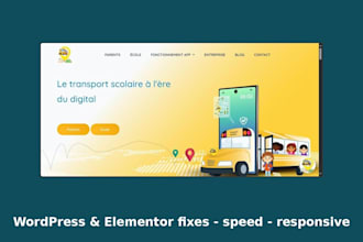 fix wordpress errors, elementor issues, responsive design and speed