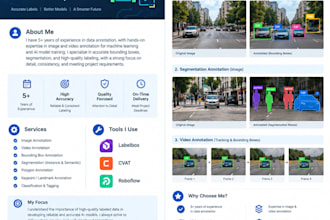do image, video annotation, data labeling