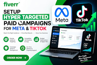 setup hyper targeted paid campaigns for meta, tiktok