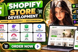 build a shopify ecommerce store with responsive design