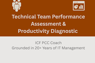 deliver a technical team performance assessment and diagnostic