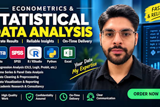 do econometrics and statistical data analysis with stata, spss, r, python, excel