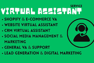 shopify virtual assistant crm va social media manager social media marketing va