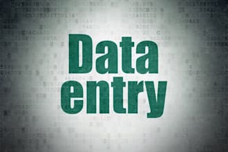 do data entry, internet research and data analysis
