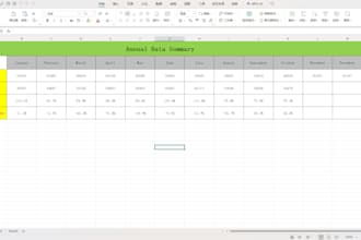 data entry and excel services