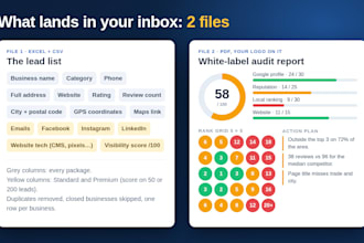 build google maps b2b leads with emails and a local SEO audit score