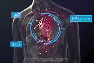 3d medical animation moa for heart anatomy biotech scientific explainer videos