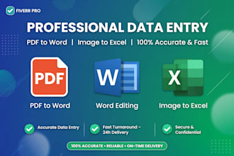 do fast accurate data entry typing PDF to word and excel