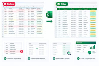 clean, format and organize your excel data