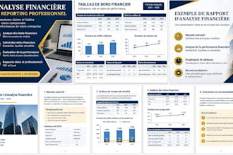 analyze financial statements and create professional financial reports