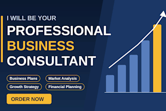 be your professional business consultant
