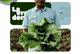 poster making and graphic desighn professionally