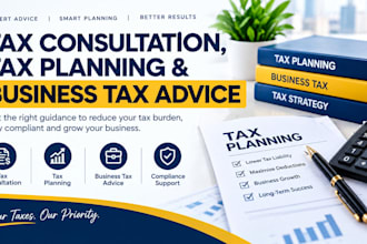 provide tax consultation, tax planning , business tax advice