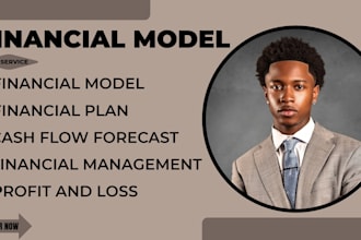 excel financial model financial forecast discounted cashflow model dcf ibo model