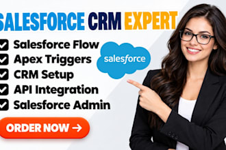 setup salesforce flow, crm, api, salesforce admin, consultant and apex triggers