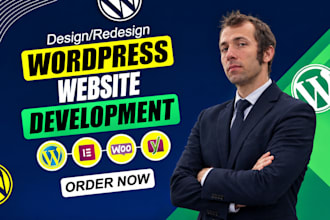 develop wordpress theme for you