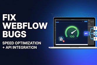fix webflow bugs webflow speed optimization and webflow api integration