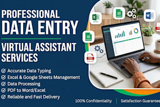 do accurate data entry, copy paste, and excel data typing
