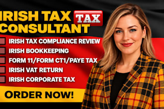 prepare irish tax return, form 11 self assessment, corporation tax, vat return