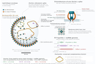 design publication ready scientific figures, diagrams