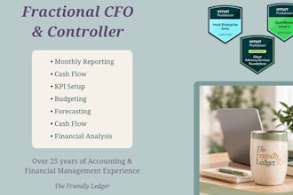 provide fractional cfo or controller services for monthly financial reporting