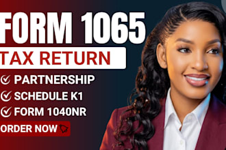 prepare and efile form 1065 partnership tax return with schedule k1
