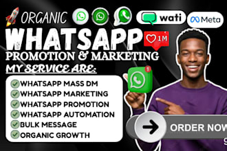do whatsapp marketing whatsapp promotion whatsapp mass dm and campaign