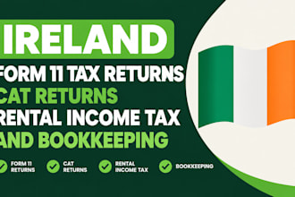 file ireland form 11 tax returns, cat returns, rental income tax and bookkeeping
