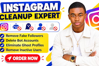 remove instagram fake followers, bot accounts, ghost profiles, inactive users