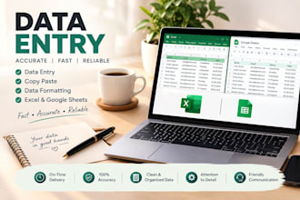 do data entry and copy paste tasks