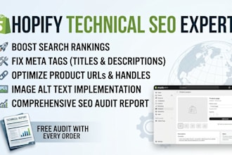 do shopify technical seo optimization to rank your store