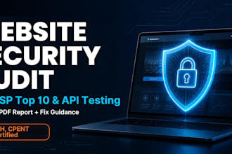 find owasp top 10 vulnerabilities in your website and send a report