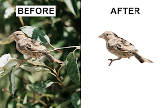 do professional background removal and manual image cutout