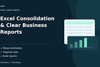 consolidate excel files and prepare a clear report