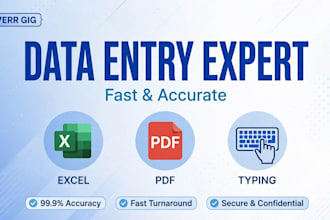 do fast deta entry, pdf to excel, copy paste typing work