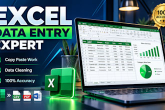 do expert data entry and excel data cleaning