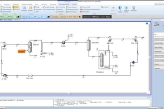 perform aspen and dwsim process simulation