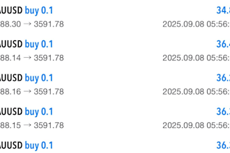 help you with forex trading, crypto trading, day trading,