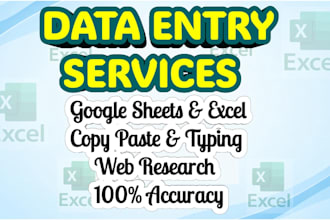 do professional data entry and google sheets work