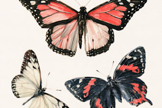 draw insects, arthropods, or animals in scientific illustrations
