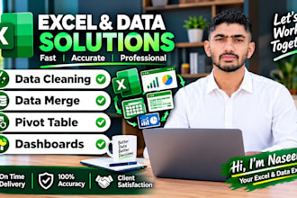 data cleaning, data merge, pivot table, dashboards